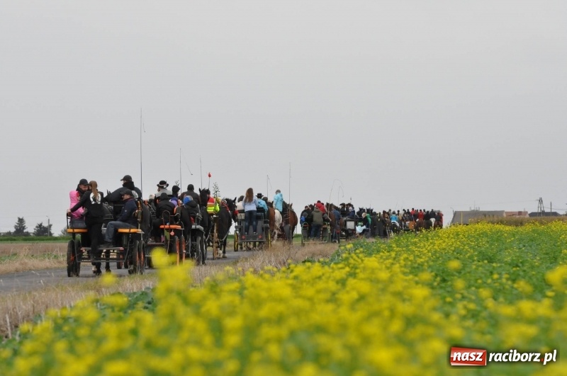 Zdjęcie w galerii na portalu naszraciborz.pl: Na Hubertusie w Żerdzinach FOTO i WIDEO wiadomości z regionu
