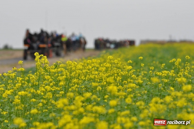Zdjęcie w galerii na portalu naszraciborz.pl: Na Hubertusie w Żerdzinach FOTO i WIDEO wiadomości z regionu