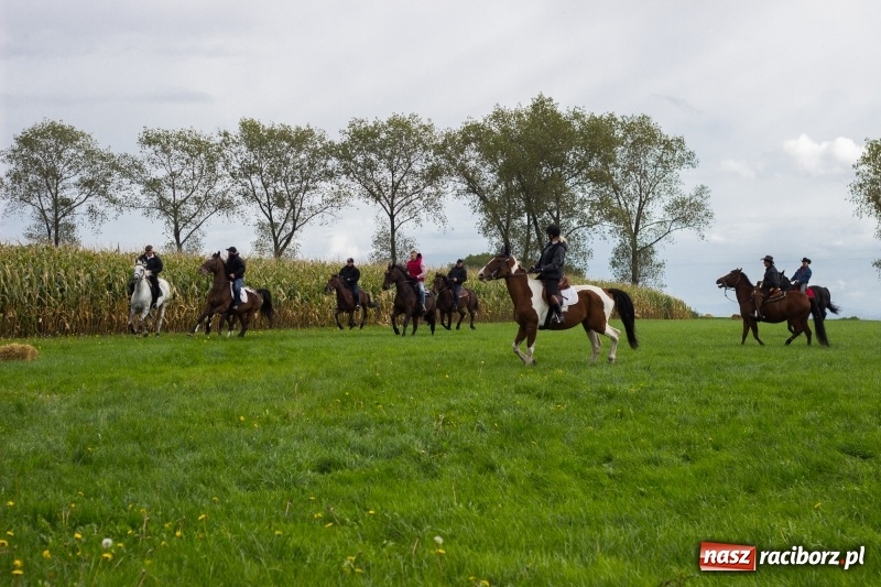 Zdjęcie w galerii na portalu naszraciborz.pl: Adrian Krzemień z lisią kitą w Żerdzinach wiadomości z regionu