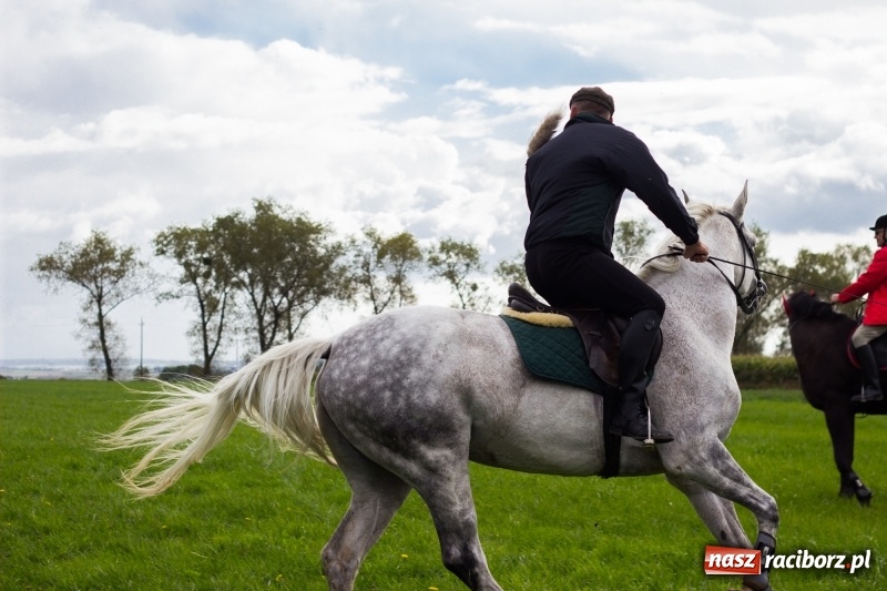 Zdjęcie w galerii na portalu naszraciborz.pl: Adrian Krzemień z lisią kitą w Żerdzinach wiadomości z regionu