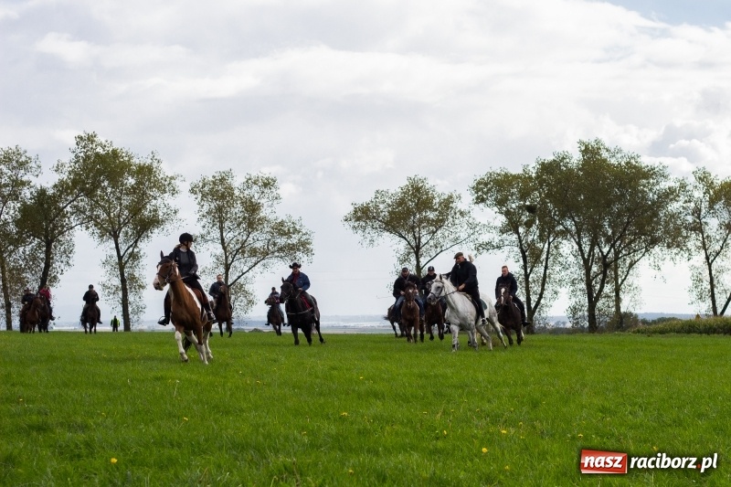 Zdjęcie w galerii na portalu naszraciborz.pl: Adrian Krzemień z lisią kitą w Żerdzinach wiadomości z regionu