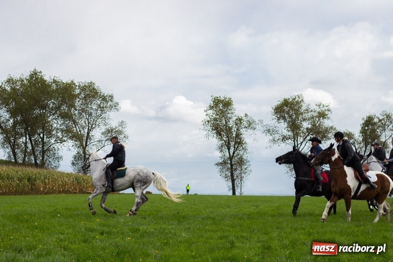 Zdjęcie w galerii na portalu naszraciborz.pl: Adrian Krzemień z lisią kitą w Żerdzinach wiadomości z regionu
