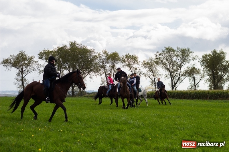 Zdjęcie w galerii na portalu naszraciborz.pl: Adrian Krzemień z lisią kitą w Żerdzinach wiadomości z regionu