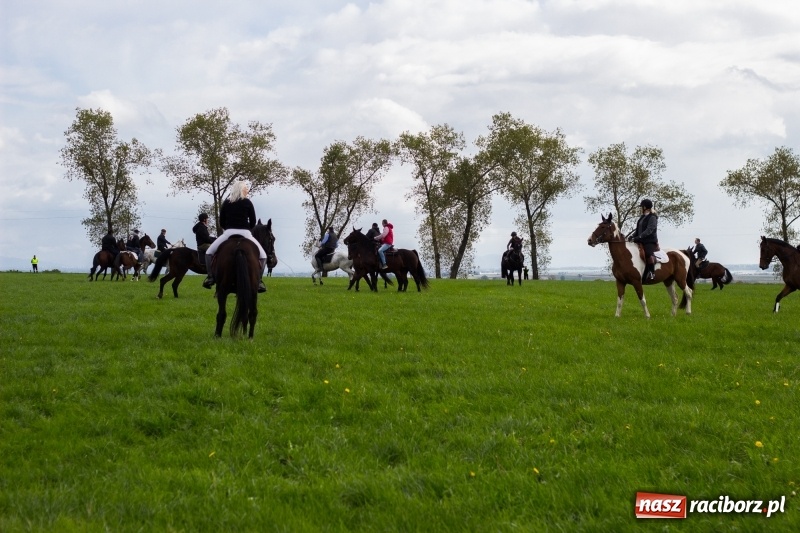 Zdjęcie w galerii na portalu naszraciborz.pl: Adrian Krzemień z lisią kitą w Żerdzinach wiadomości z regionu