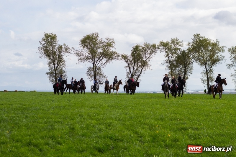 Zdjęcie w galerii na portalu naszraciborz.pl: Adrian Krzemień z lisią kitą w Żerdzinach wiadomości z regionu