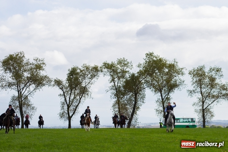 Zdjęcie w galerii na portalu naszraciborz.pl: Adrian Krzemień z lisią kitą w Żerdzinach wiadomości z regionu