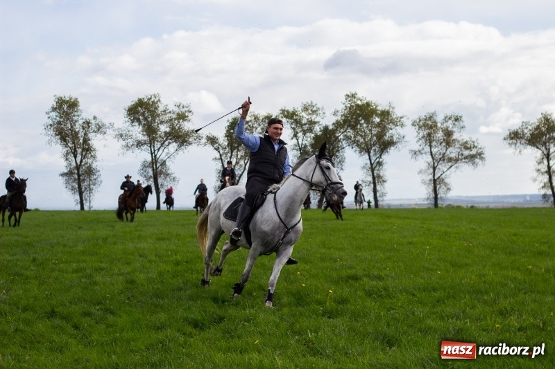 Zdjęcie w galerii na portalu naszraciborz.pl: Adrian Krzemień z lisią kitą w Żerdzinach wiadomości z regionu