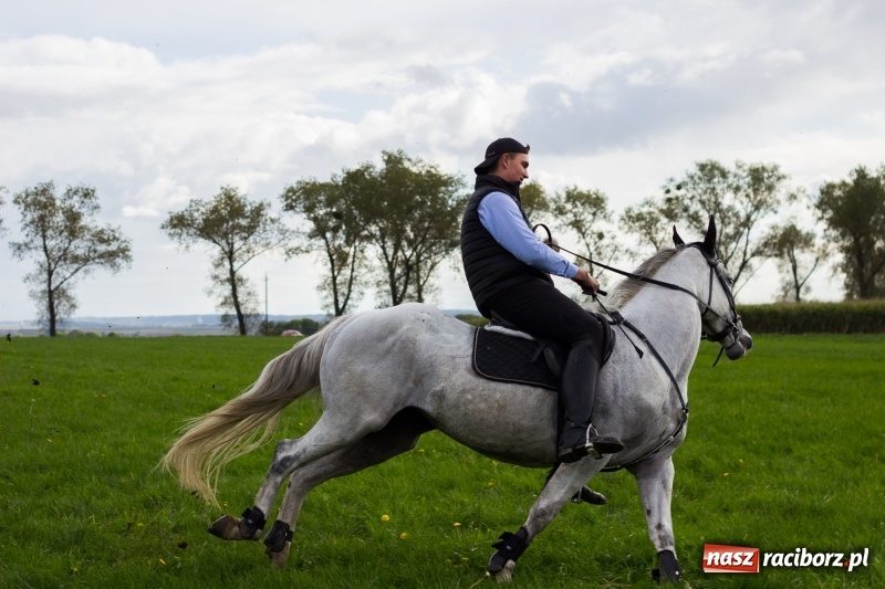 Zdjęcie w galerii na portalu naszraciborz.pl: Adrian Krzemień z lisią kitą w Żerdzinach wiadomości z regionu