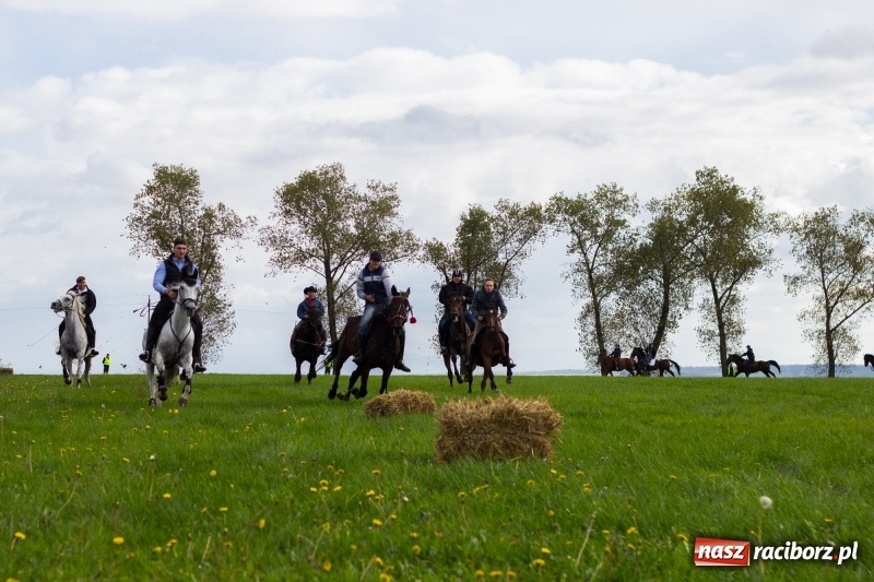 Zdjęcie w galerii na portalu naszraciborz.pl: Adrian Krzemień z lisią kitą w Żerdzinach wiadomości z regionu