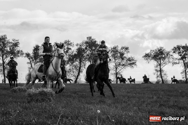 Zdjęcie w galerii na portalu naszraciborz.pl: Adrian Krzemień z lisią kitą w Żerdzinach wiadomości z regionu