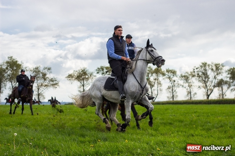 Zdjęcie w galerii na portalu naszraciborz.pl: Adrian Krzemień z lisią kitą w Żerdzinach wiadomości z regionu