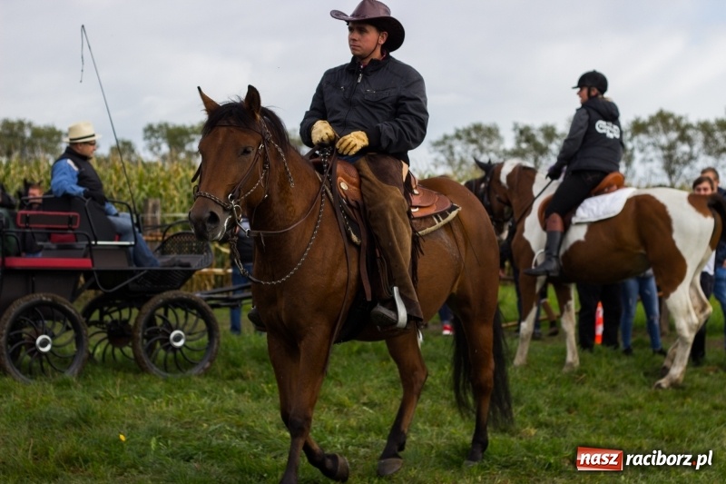 Zdjęcie w galerii na portalu naszraciborz.pl: Adrian Krzemień z lisią kitą w Żerdzinach wiadomości z regionu