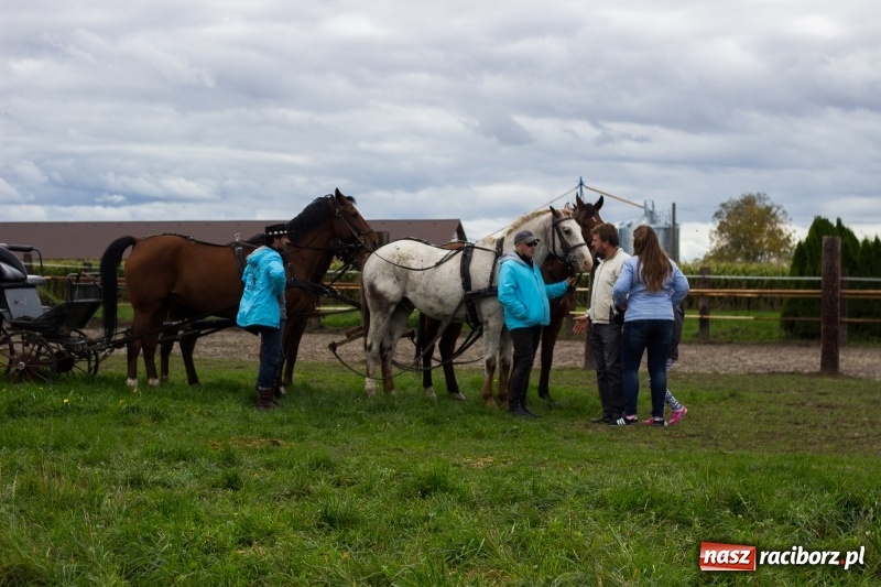 Zdjęcie w galerii na portalu naszraciborz.pl: Adrian Krzemień z lisią kitą w Żerdzinach wiadomości z regionu