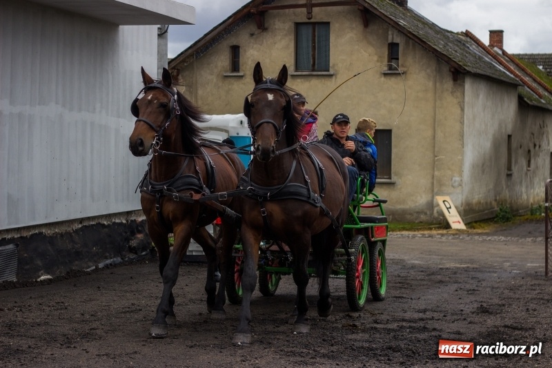 Zdjęcie w galerii na portalu naszraciborz.pl: Adrian Krzemień z lisią kitą w Żerdzinach wiadomości z regionu