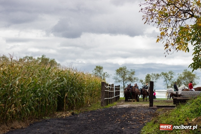 Zdjęcie w galerii na portalu naszraciborz.pl: Adrian Krzemień z lisią kitą w Żerdzinach wiadomości z regionu