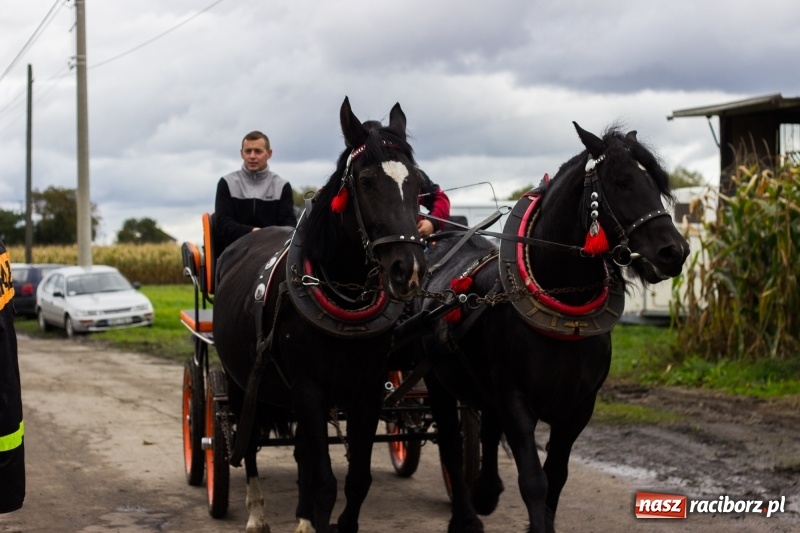 Zdjęcie w galerii na portalu naszraciborz.pl: Adrian Krzemień z lisią kitą w Żerdzinach wiadomości z regionu