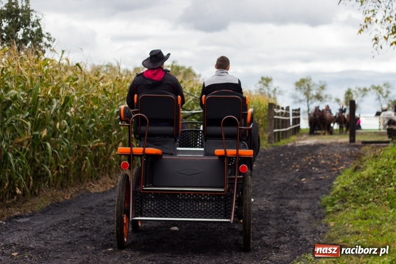 Zdjęcie w galerii na portalu naszraciborz.pl: Adrian Krzemień z lisią kitą w Żerdzinach wiadomości z regionu