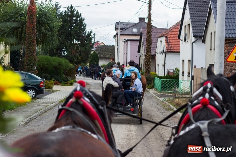Zdjęcie w galerii na portalu naszraciborz.pl: Adrian Krzemień z lisią kitą w Żerdzinach wiadomości z regionu