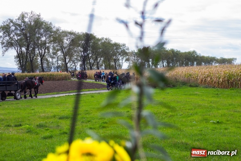 Zdjęcie w galerii na portalu naszraciborz.pl: Adrian Krzemień z lisią kitą w Żerdzinach wiadomości z regionu