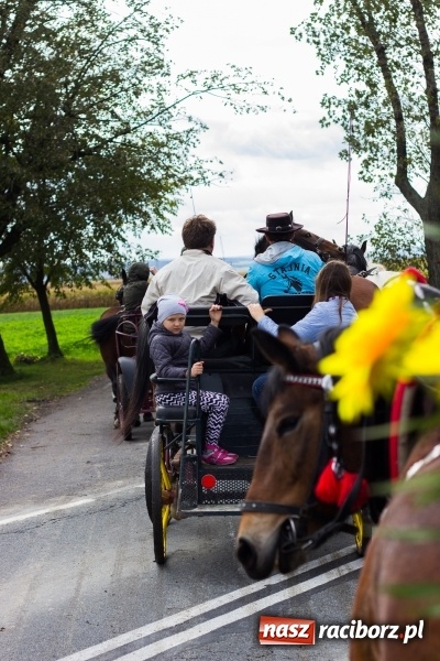 Zdjęcie w galerii na portalu naszraciborz.pl: Adrian Krzemień z lisią kitą w Żerdzinach wiadomości z regionu