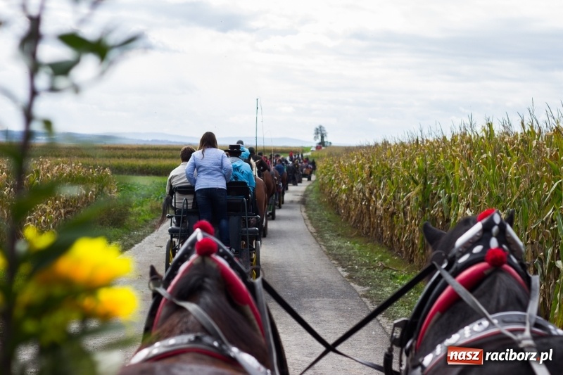 Zdjęcie w galerii na portalu naszraciborz.pl: Adrian Krzemień z lisią kitą w Żerdzinach wiadomości z regionu