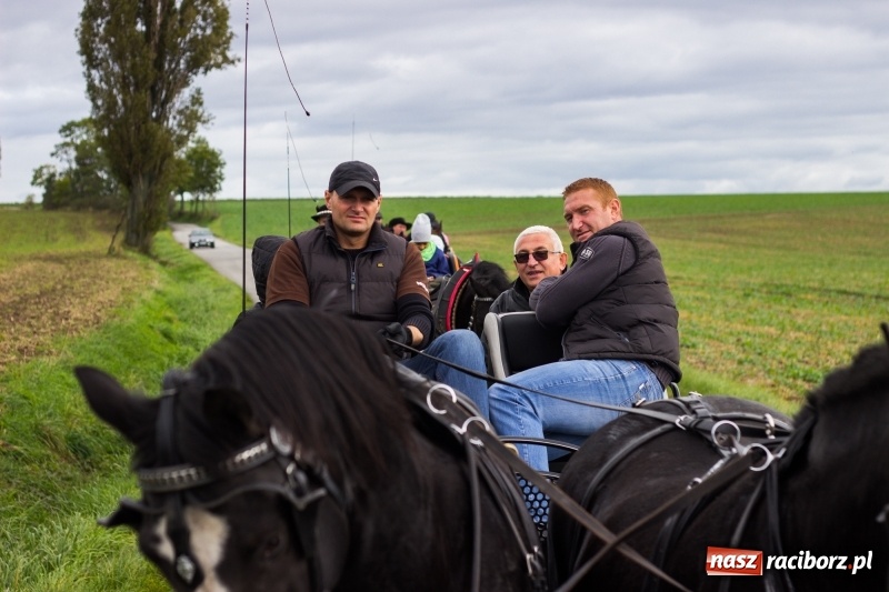 Zdjęcie w galerii na portalu naszraciborz.pl: Adrian Krzemień z lisią kitą w Żerdzinach wiadomości z regionu
