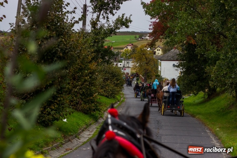 Zdjęcie w galerii na portalu naszraciborz.pl: Adrian Krzemień z lisią kitą w Żerdzinach wiadomości z regionu