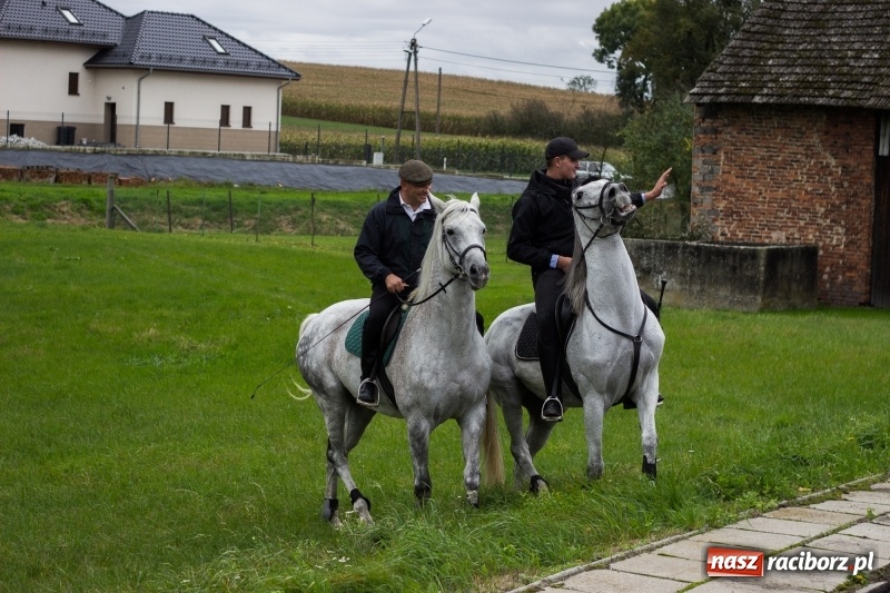 Zdjęcie w galerii na portalu naszraciborz.pl: Adrian Krzemień z lisią kitą w Żerdzinach wiadomości z regionu