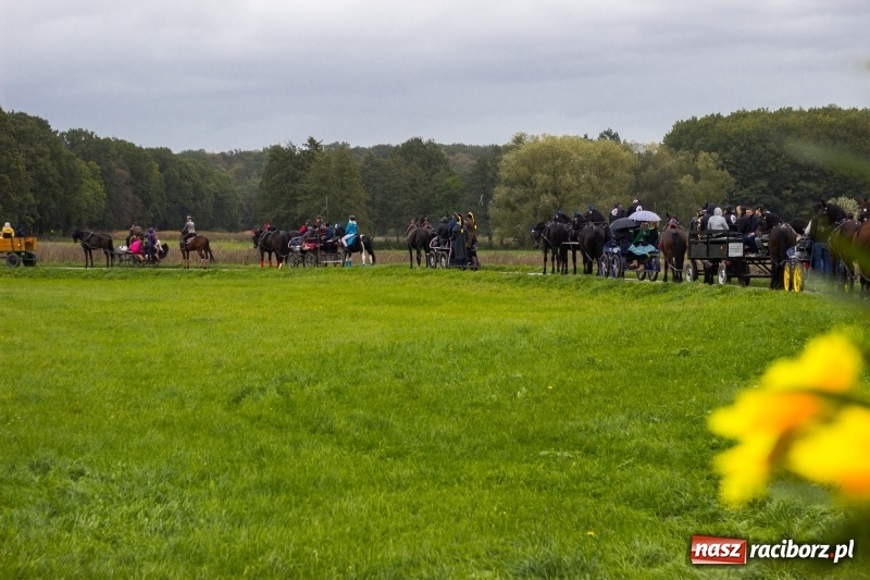 Zdjęcie w galerii na portalu naszraciborz.pl: Adrian Krzemień z lisią kitą w Żerdzinach wiadomości z regionu