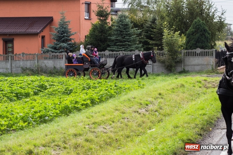 Zdjęcie w galerii na portalu naszraciborz.pl: Adrian Krzemień z lisią kitą w Żerdzinach wiadomości z regionu