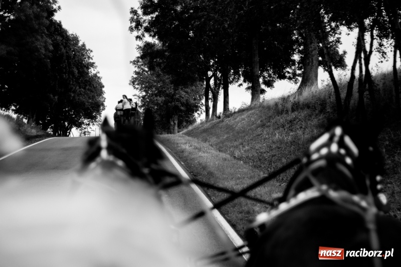 Zdjęcie w galerii na portalu naszraciborz.pl: Adrian Krzemień z lisią kitą w Żerdzinach wiadomości z regionu