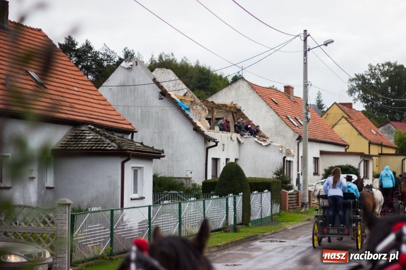 Zdjęcie w galerii na portalu naszraciborz.pl: Adrian Krzemień z lisią kitą w Żerdzinach wiadomości z regionu