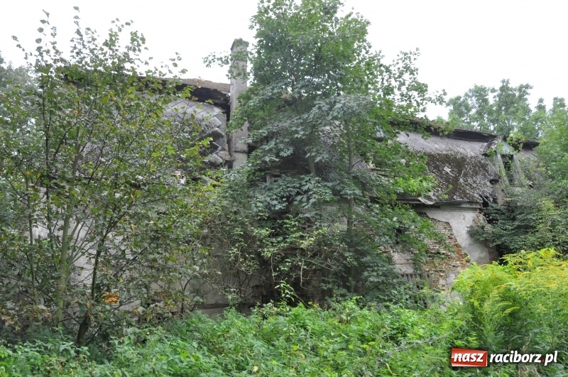 Zdjęcie w galerii na portalu naszraciborz.pl: Dla dworku w Łężczoku idą lepsze czasy?  wiadomości z regionu