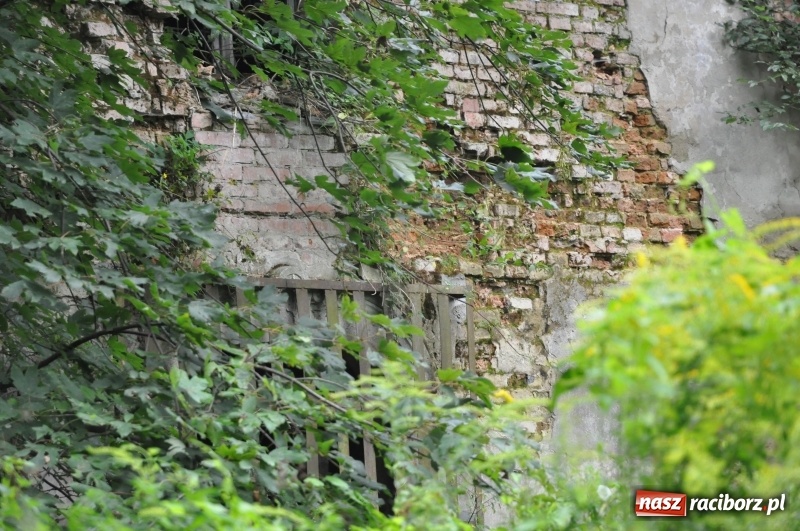 Zdjęcie w galerii na portalu naszraciborz.pl: Dla dworku w Łężczoku idą lepsze czasy?  wiadomości z regionu