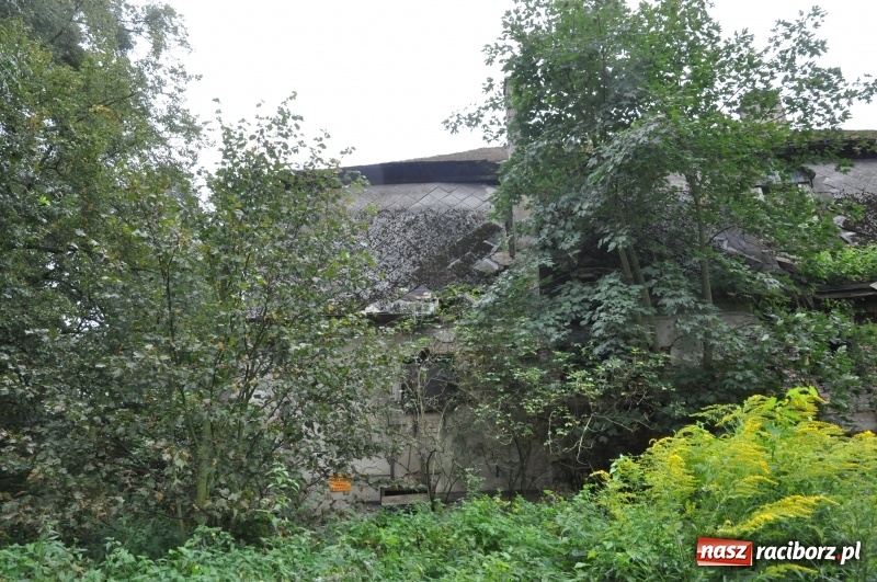 Zdjęcie w galerii na portalu naszraciborz.pl: Dla dworku w Łężczoku idą lepsze czasy?  wiadomości z regionu