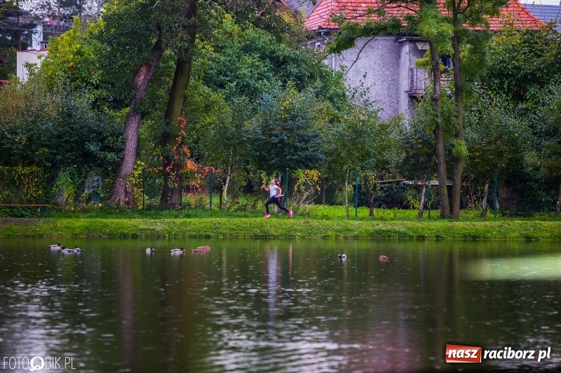 Zdjęcie w galerii na portalu naszraciborz.pl: Gminne sztafetowe biegi przełajowe w Tworkowie wiadomości z regionu