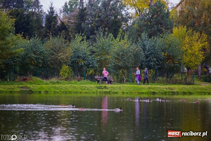Zdjęcie w galerii na portalu naszraciborz.pl: Gminne sztafetowe biegi przełajowe w Tworkowie wiadomości z regionu
