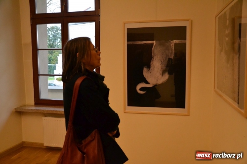 Zdjęcie w galerii na portalu naszraciborz.pl: ŚWIATŁOCZUŁE - wernisaż sióstr Fober na Zamku Piastowskim  wiadomości z regionu