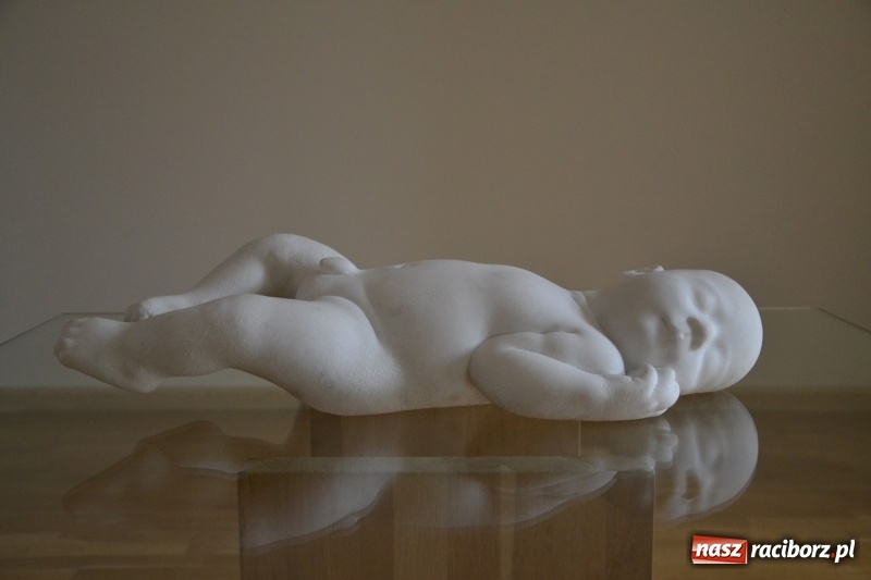 Zdjęcie w galerii na portalu naszraciborz.pl: ŚWIATŁOCZUŁE - wernisaż sióstr Fober na Zamku Piastowskim  wiadomości z regionu