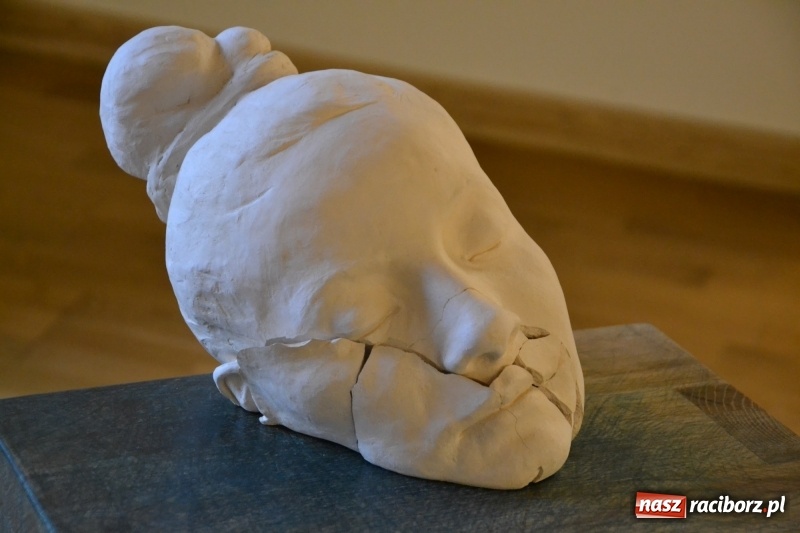 Zdjęcie w galerii na portalu naszraciborz.pl: ŚWIATŁOCZUŁE - wernisaż sióstr Fober na Zamku Piastowskim  wiadomości z regionu