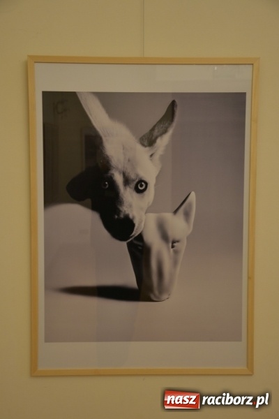 Zdjęcie w galerii na portalu naszraciborz.pl: ŚWIATŁOCZUŁE - wernisaż sióstr Fober na Zamku Piastowskim  wiadomości z regionu