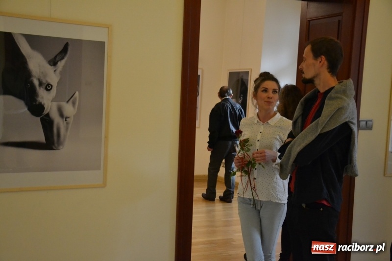 Zdjęcie w galerii na portalu naszraciborz.pl: ŚWIATŁOCZUŁE - wernisaż sióstr Fober na Zamku Piastowskim  wiadomości z regionu