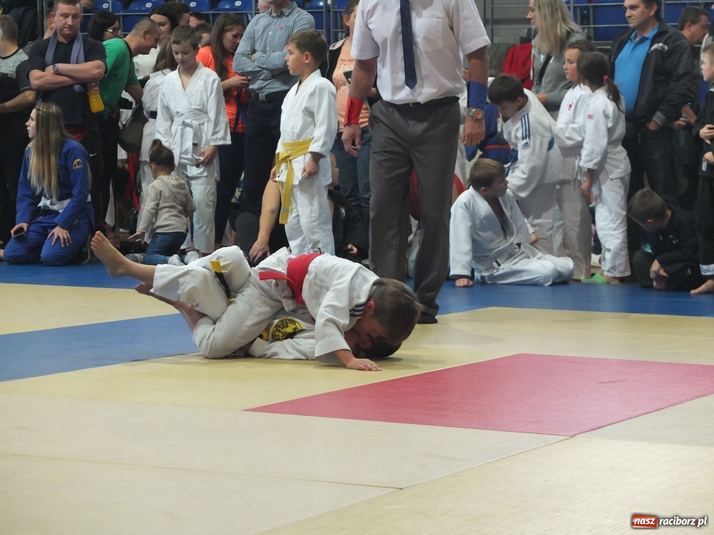 Zdjęcie w galerii na portalu naszraciborz.pl: Najmłodsi Łamatorzy na turnieju w Katowicach wiadomości z regionu