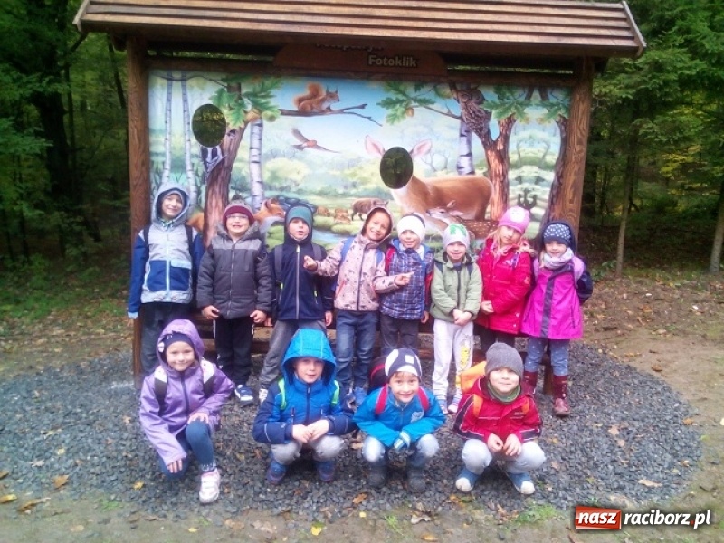 Zdjęcie w galerii na portalu naszraciborz.pl: Jesienna wyprawa do lasu uczniów z ZSP nr 4 wiadomości z regionu