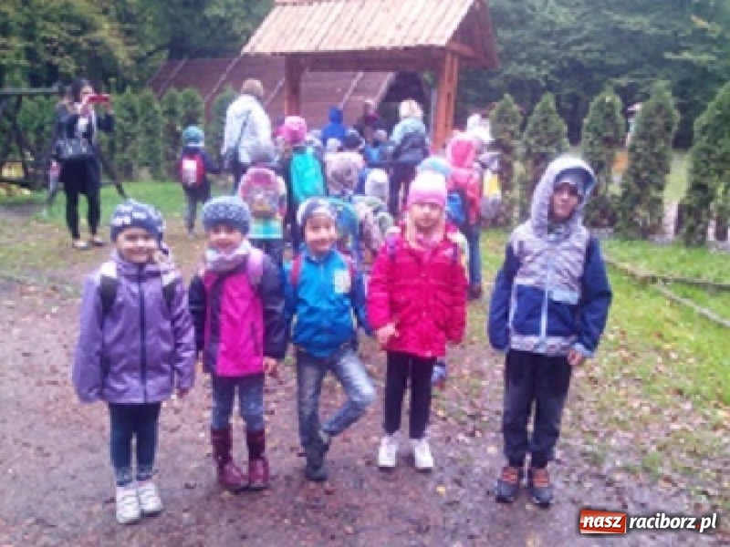 Zdjęcie w galerii na portalu naszraciborz.pl: Jesienna wyprawa do lasu uczniów z ZSP nr 4 wiadomości z regionu