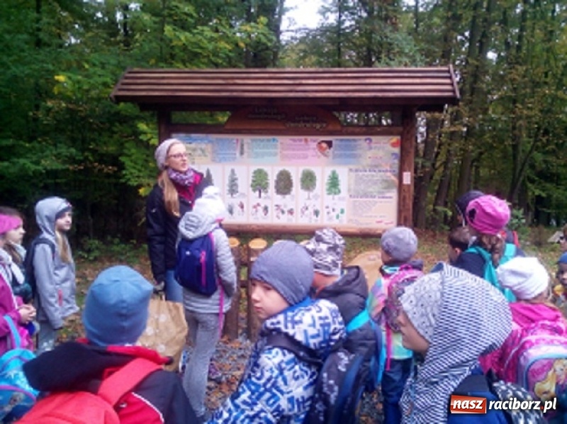 Zdjęcie w galerii na portalu naszraciborz.pl: Jesienna wyprawa do lasu uczniów z ZSP nr 4 wiadomości z regionu