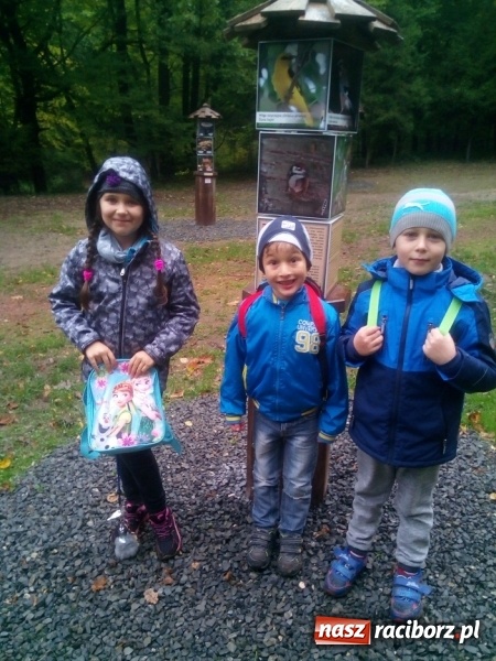 Zdjęcie w galerii na portalu naszraciborz.pl: Jesienna wyprawa do lasu uczniów z ZSP nr 4 wiadomości z regionu