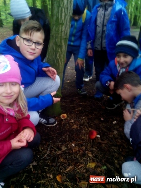 Zdjęcie w galerii na portalu naszraciborz.pl: Jesienna wyprawa do lasu uczniów z ZSP nr 4 wiadomości z regionu