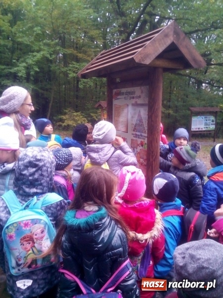 Zdjęcie w galerii na portalu naszraciborz.pl: Jesienna wyprawa do lasu uczniów z ZSP nr 4 wiadomości z regionu