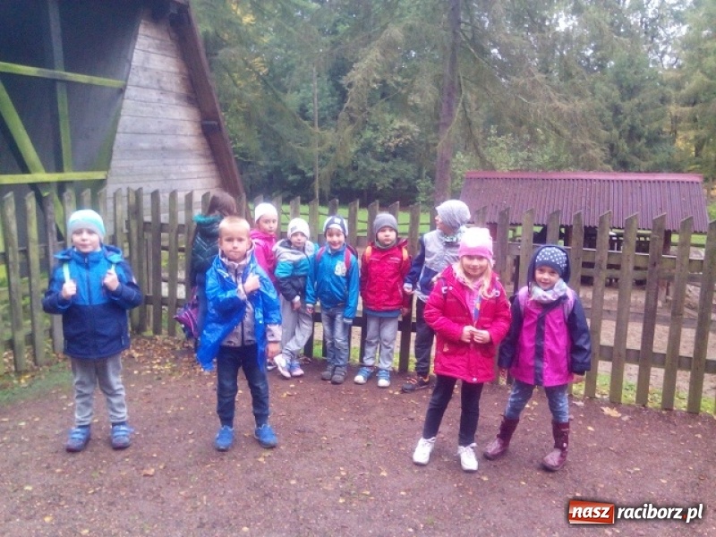 Zdjęcie w galerii na portalu naszraciborz.pl: Jesienna wyprawa do lasu uczniów z ZSP nr 4 wiadomości z regionu